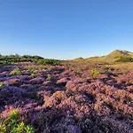 5 Star Holiday Home In Blavand 펜션 *
