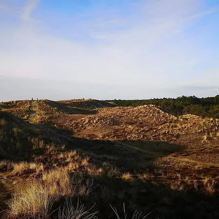 בית נופש Luxury Pool Retreat In - By Traum *