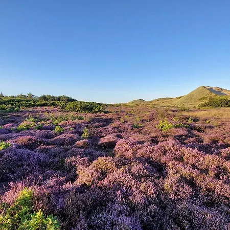 Luxury Pool Retreat In - By Traum בית נופש *