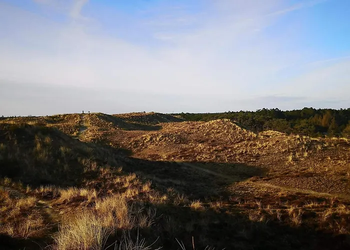 Casa vacanze Luxury Pool Retreat In - By Traum *