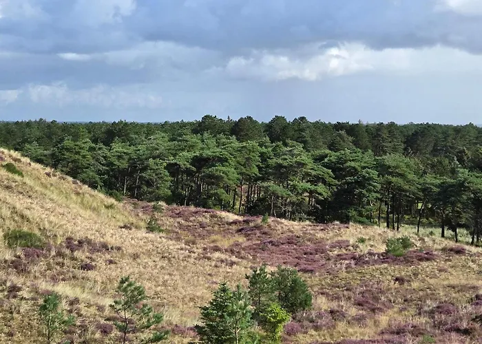 Luxury Pool Retreat In - By Traum