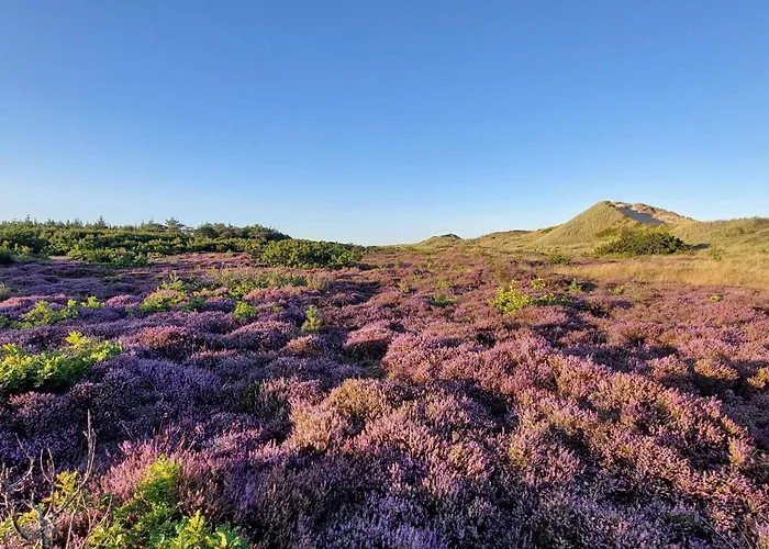 Luxury Pool Retreat In - By Traum Casa vacanze *